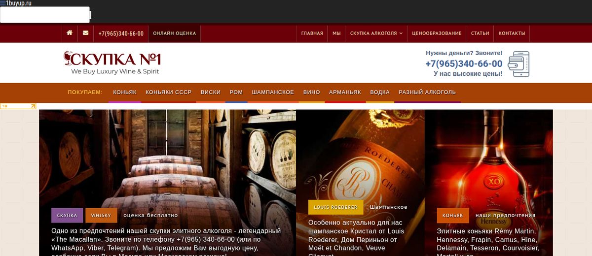 Главная страница 1buyup.ru